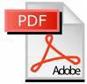 PDF File